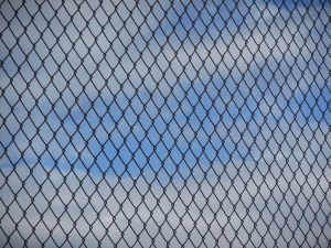 screened sky- in every direction boundless... 