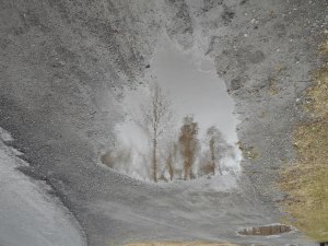 with some remove and the right angle reflections  to savor