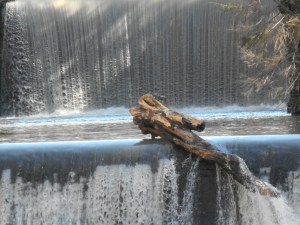 balanced on the little catch dam for now....