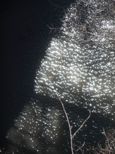 in the gorge the sparkling sun and shadowed side 