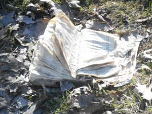 wind flipping the pages old phone book