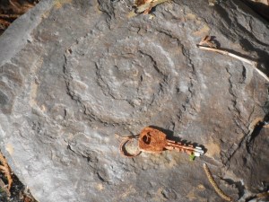 a fossil spiral galaxy in stone 