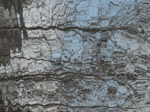 visual taste of a liquid  nature