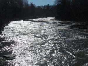 river of gold flowing with and toward the sun