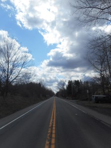 standing in the middle of the road