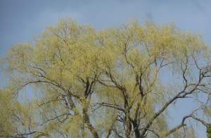 to look up and see so far beyond us...