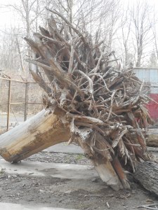 saving it for a rainy day calling 