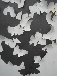 peeling paint at the High Voltage Lab back door