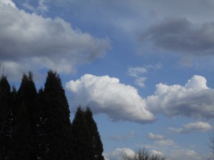 for free the sky theater open