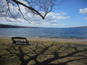 Cayuga's waters from the North Point at Taughannock