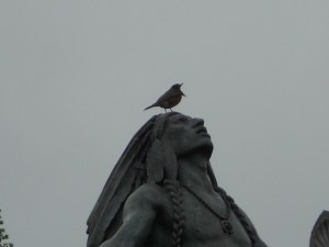 a top the statue looking too...