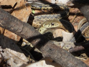 every life here and now here and now...