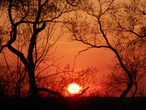 another sunset counting on you to always be there...