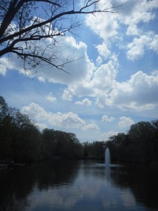 what a day for a day dream... 