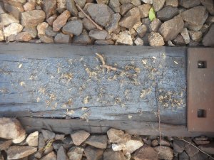 the ties that bind remain