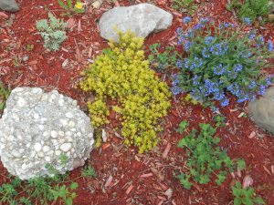 how many ways to find a place to be free...