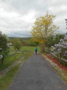the way home so many times in sun, wind or rain 
