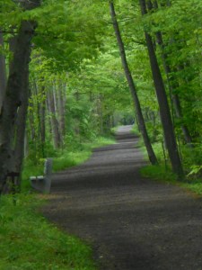 the bike path with leaves arrived so welcome