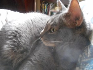 back inside safe and sound to sleep and relive the outing...