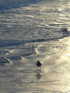 each being on the threshold  of a dream... 