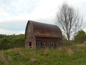 at the edge of the creek holding on...