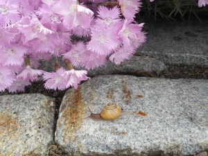 the importance of taking it slow and easy...