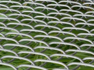 the chain link fence holding back the weeds