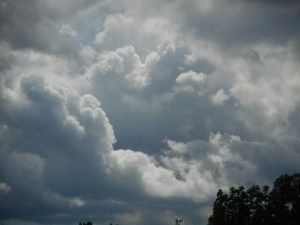 "I've looked at life from both sides now... -Judy Collins