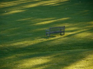 evening light stretches across  the fresh cut lawn