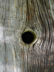 looking on line about another symptom the hypochondriac