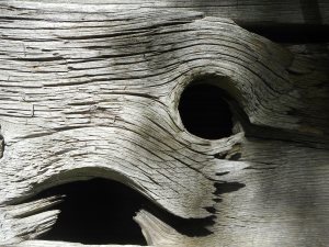 knot holes giving a peek into the old barn...
