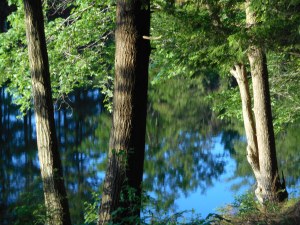 late day sun this inner place on time again... 