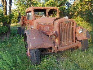 how many times the light has come and gone...