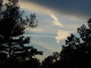 the mystery of where we all go at the end of the day...