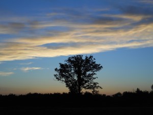 being there all alone  without expectations...