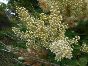 so much passes by before we know it...