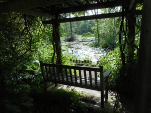 the photo that moment just that moment...