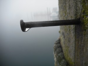 the fog at Galilee was near dripping