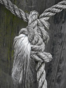 knotted at the docks my thoughts too...