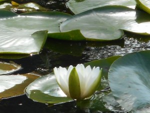 the work in this life is never over...