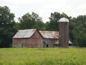 the cows all headed off to other pastures...