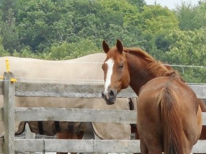 as they say... here's looking at you