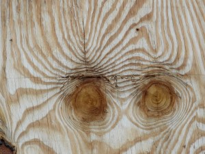 the window boarded up... knots looking out