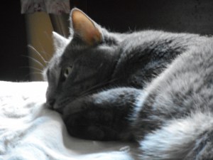 sound asleep but every now and then peeking