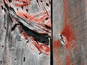 the way paint holds on through hard times