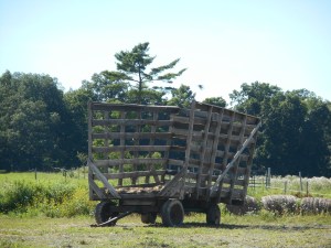 hay wagon at rest, waiting for the next load