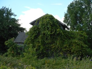 Route 20 across New York State before the thruway got all the traffic... and now gets much less...