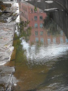 the reflection of the mental health building 