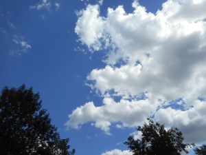 taking a break from the basement cleaning