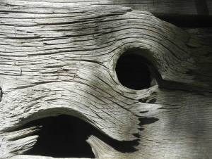 in the eye of the beholder wabi sabi